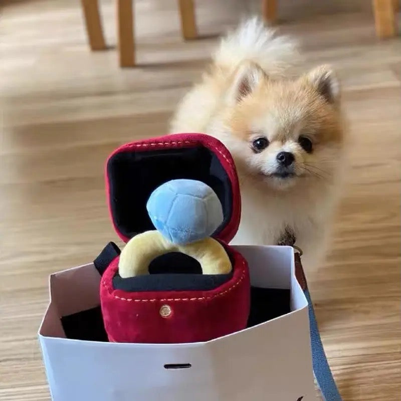 Dog Toy | Cartiarf Ring Box Dog Toy