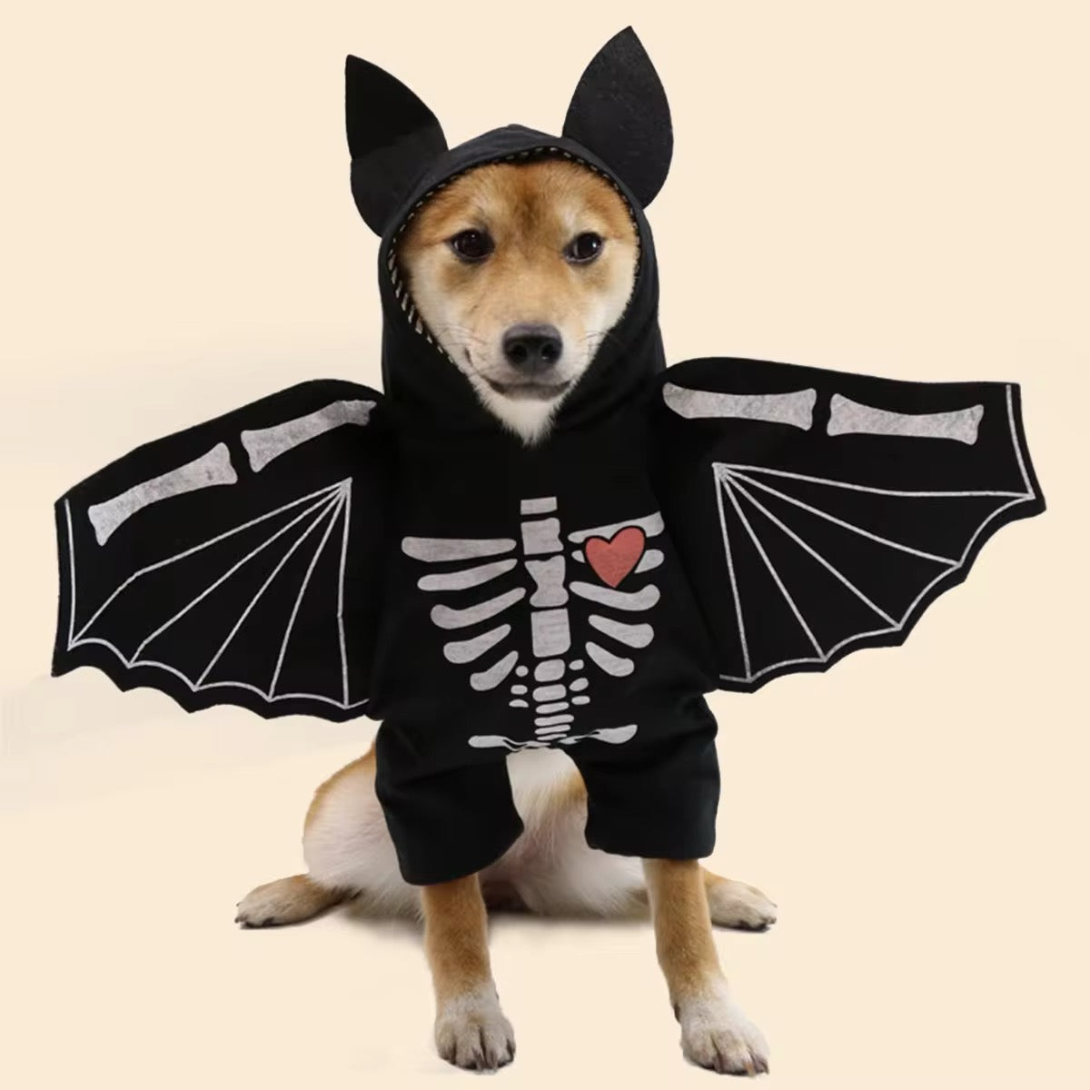 BatDog Halloween Costume | Dog Costume with Hat