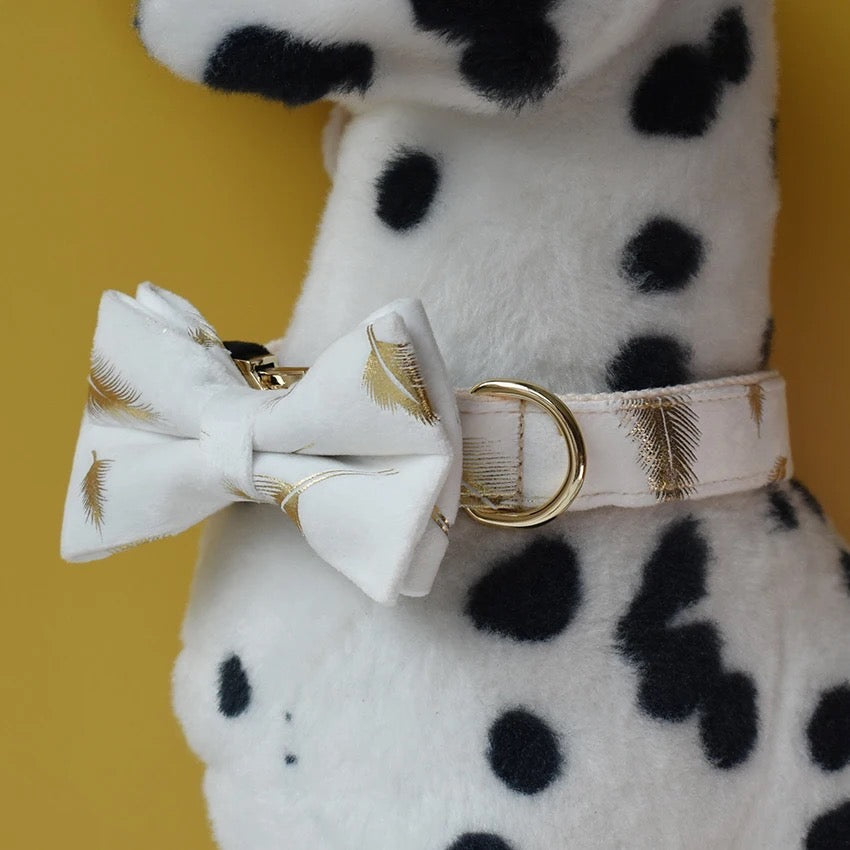 Daisy Bloom Engraved Dog Collar and Leash Set | Personalized Walking Accessories