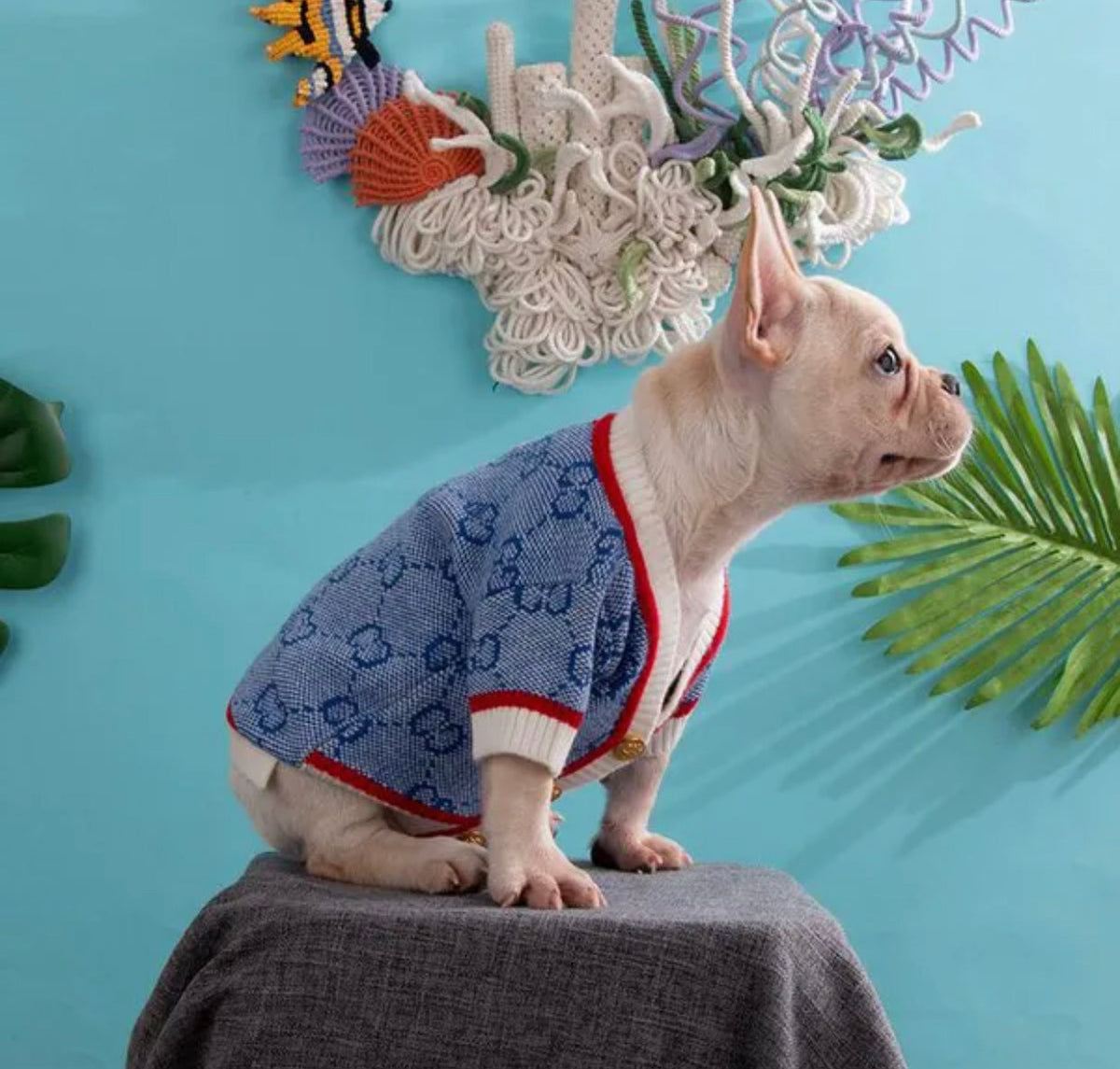 Gigi Dog Sweater | Knit Top