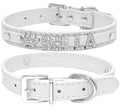 Heirloom Name Dog Collar | Customized Dog Collar