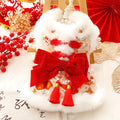 Midnight Celebration Holiday Dog Dress | New Year Occasion Outfit