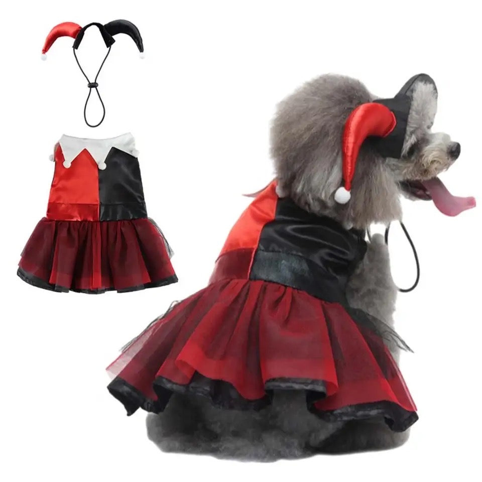 Devil Horn Dog Costume | Halloween Dog Costume