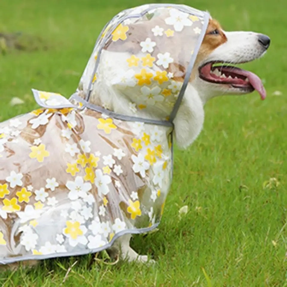 Floral Dog Rain Jacket | Lightweight Waterproof Dog Coat