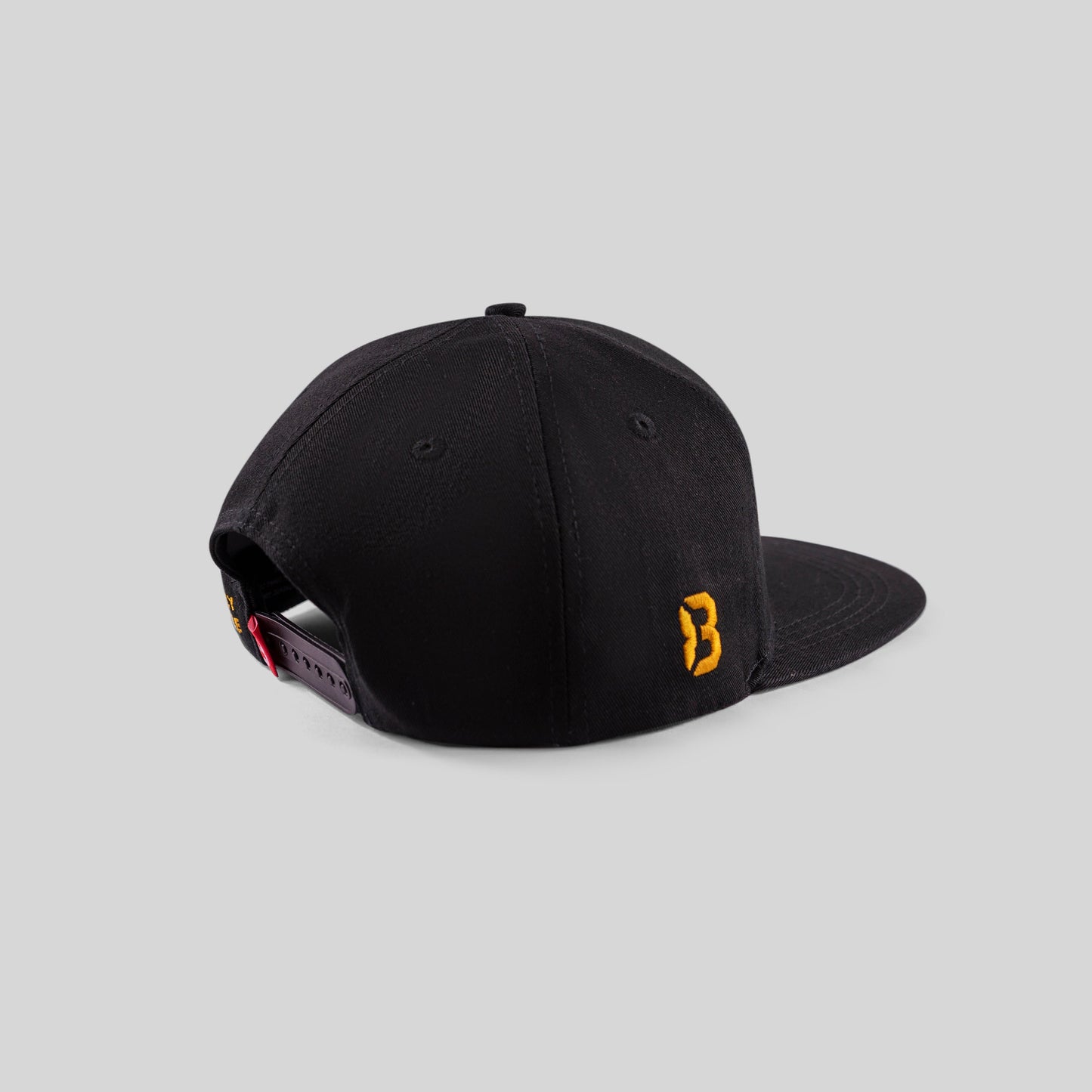Alternate Logo Hat 'F'
