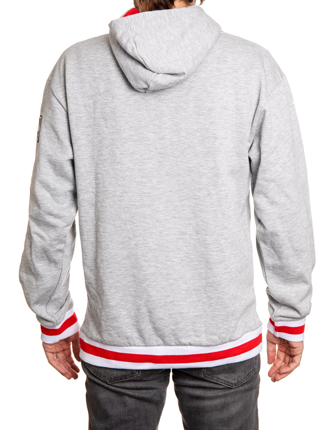Detroit Red Wings "Muskoka Style" Premium Chenille Woven Logo Hoodie