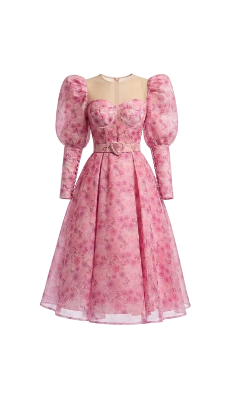Dreamy Puff Sleeves  Dress