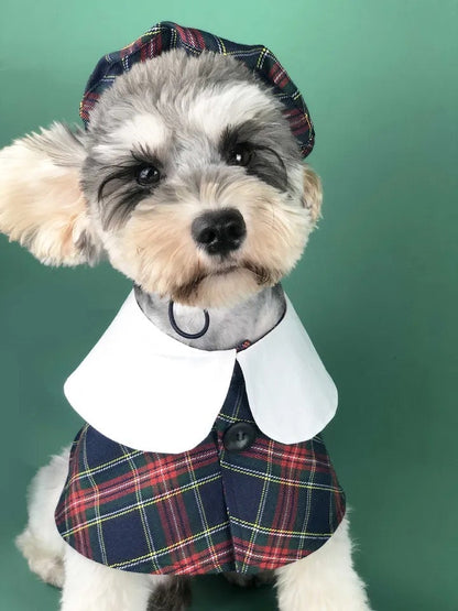 Dog Cloak & Hat Set | Vancouver Plaid Dog Outfit