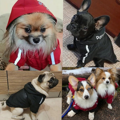 Pupreme Dog Jacket | Street Style Dog Jacket
