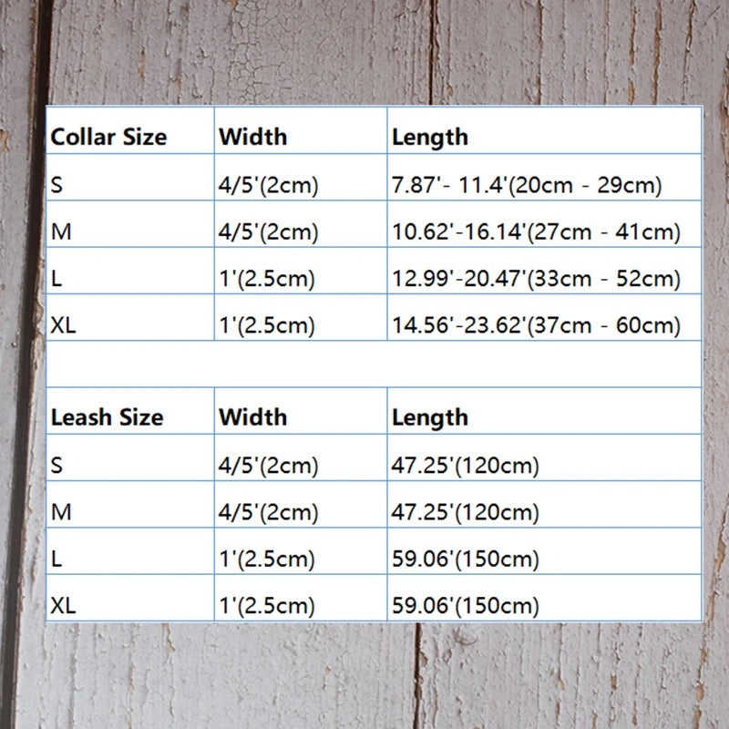 Daisy Bloom Engraved Dog Collar and Leash Set | Personalized Walking Accessories