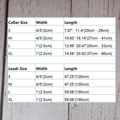 Daisy Bloom Engraved Dog Collar and Leash Set | Personalized Walking Accessories
