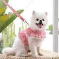 Floral Dog Harness and Leash Set | Dog Walking Set