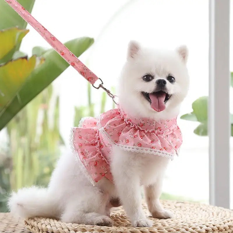 Floral Dog Harness and Leash Set | Dog Walking Set