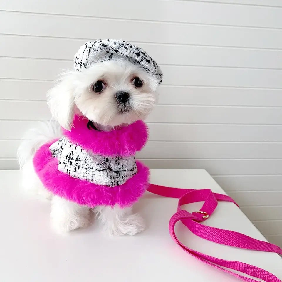 Ultra Violet Harness Set | Dog Harness Leash and Hat Set