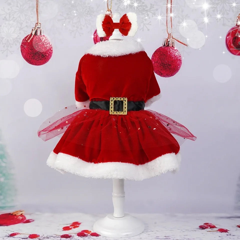 Santa Honey Holiday Dog Dress | Christmas Occasion Dog Outfit