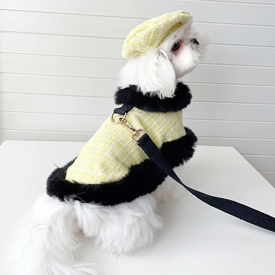 Plaid Tweed Harness Set | Dog Harness Leash and Hat Set