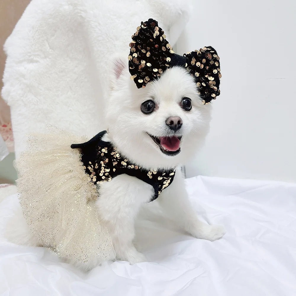Twinkle Star Dog Dress Set | Party Dress with Matching Bow