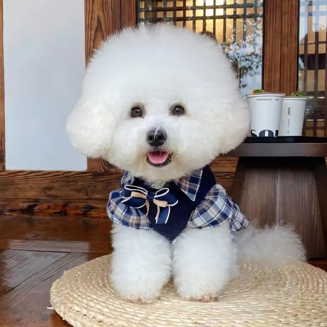 Fiona Set – Luxury Plaid Outfit Set for Dogs
