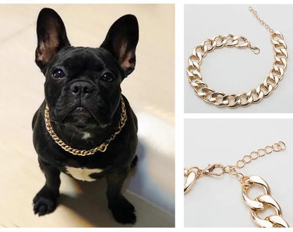Gold Chain Dog Necklace | Pet Chain Collar