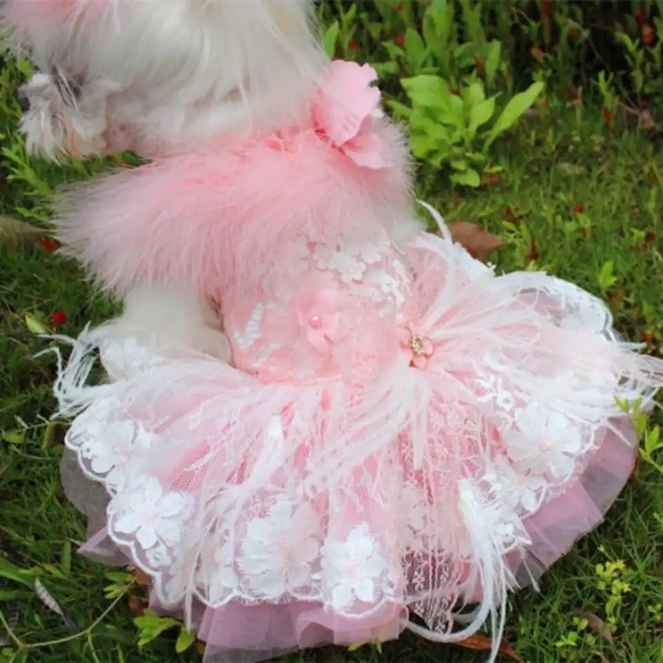 Baby Boo Feather Dog Dress | Elegant Occasion Dog Dress