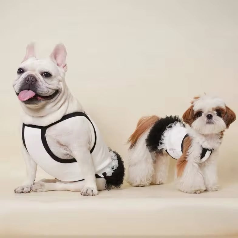 Tina Dress for Dogs – Elegant Tutu Dog Dress