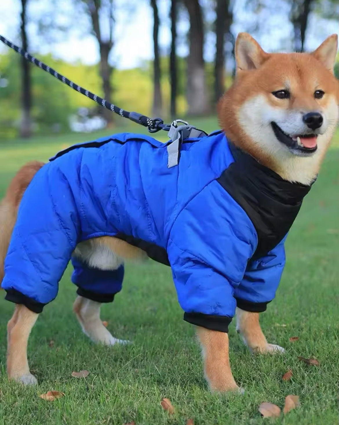 Vancouver Dog Rain Jacket | Waterproof Dog Jacket
