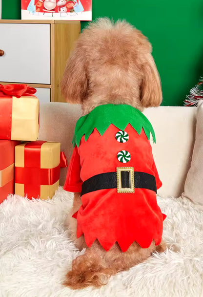 Elf Christmas Outfit – Festive Holiday Costume for Dogs