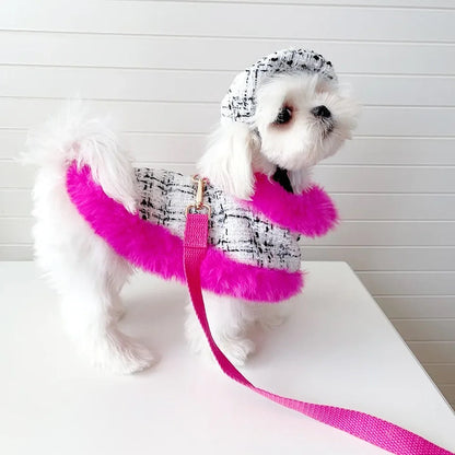 Ultra Violet Harness Set | Dog Harness Leash and Hat Set