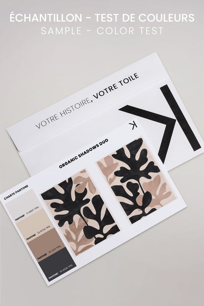 ORGANIC SHADOWS DUO (2 Oeuvres sur toile étirée)