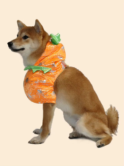 Pumpkin Dog Costume | Halloween Dog Costume