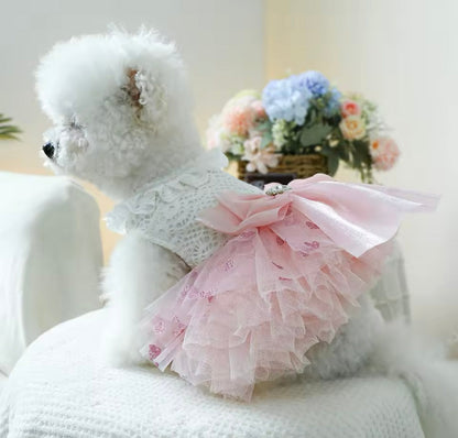 Laura Dog Dress | Designer Dog Dress for Small Dogs