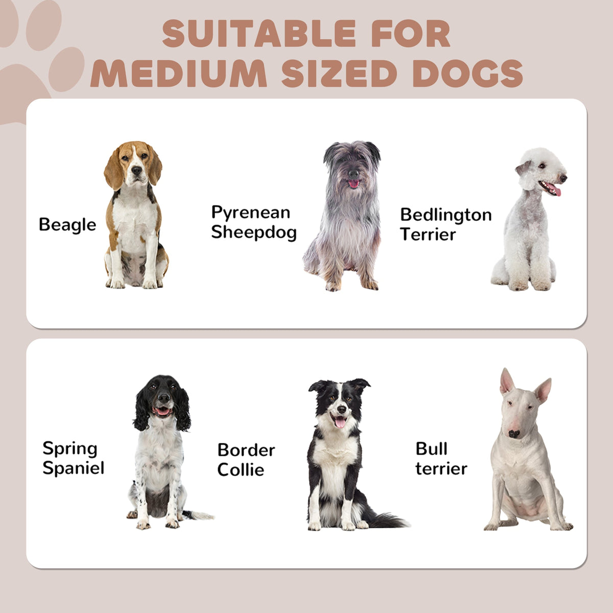 Pet Food Storage Container Dog Feeding Station w/ Adjustable Panel, Hooks, for Medium Sized Dogs, Black