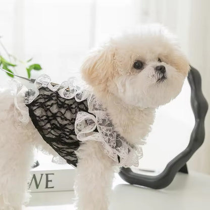 Sabrina Dress for Dogs – Elegant Lace Dog Dress
