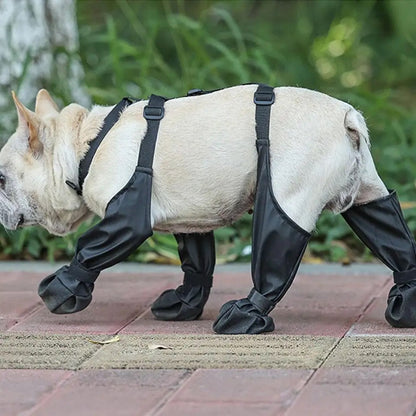 Dog Boots | Protective Paw Boots for Dogs
