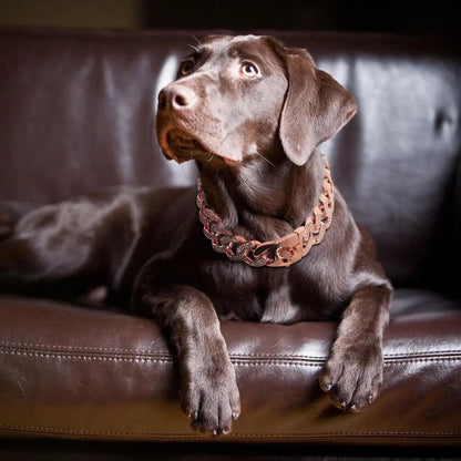Cuban Chain Dog Collar | Pet Chain Accessory