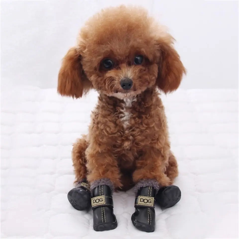 Dog Boots | All-Weather Dog Boots
