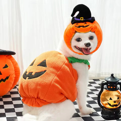 Pumpkin Dog Halloween Costume | Dog Costume for Halloween