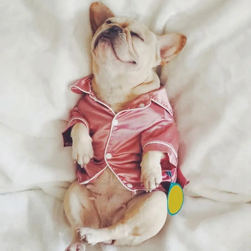 Cozy Dog Pyjamas – Soft Sleepwear for Dogs