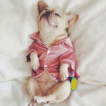 Cozy Dog Pyjamas – Soft Sleepwear for Dogs
