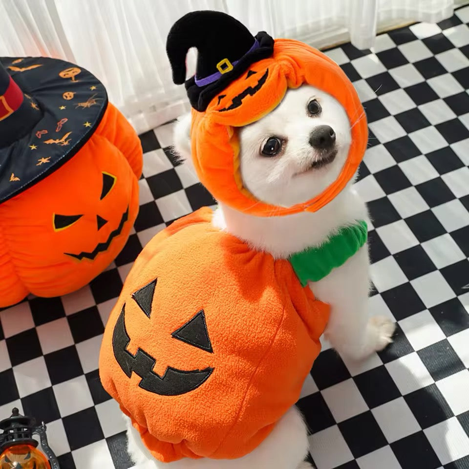 Pumpkin Dog Halloween Costume | Dog Costume for Halloween