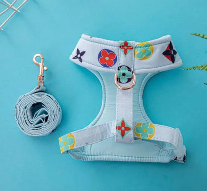 Chewy Pawtton Dog Harness and Leash Set | Dog Walking Outfit