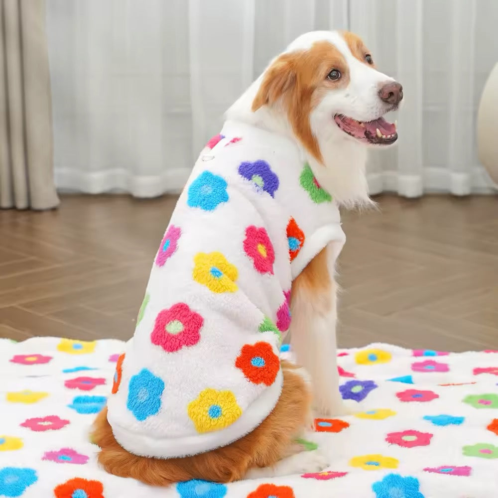 Spring Time Is Here Sweater – Dog Sweater