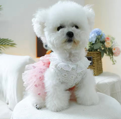 Laura Dog Dress | Designer Dog Dress for Small Dogs