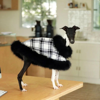 Dubai Dog Coat | Plaid Dog Coat