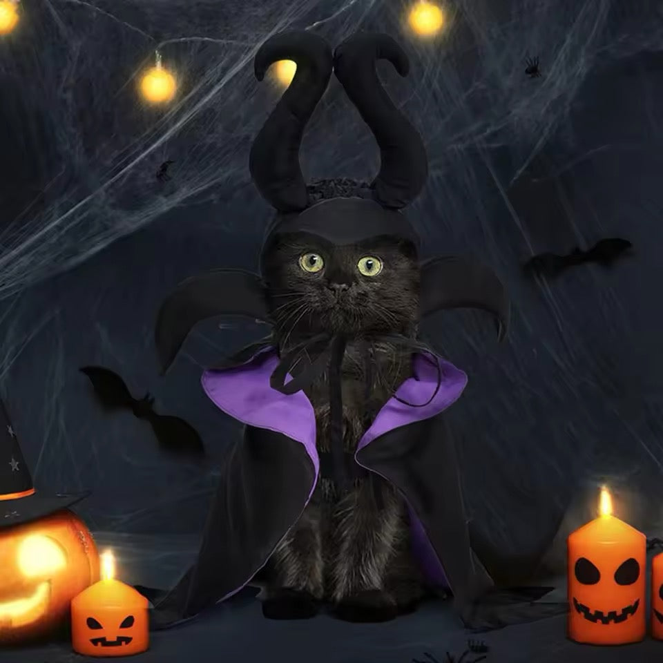 Pawleficent Dog Halloween Costume | Dog Costume for Halloween