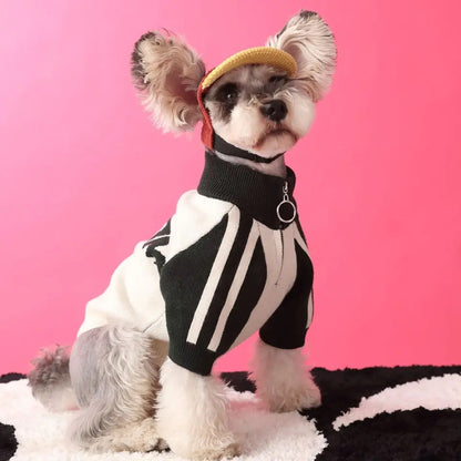 Dog Racing Jacket | Race Car Driver Dog Jacket