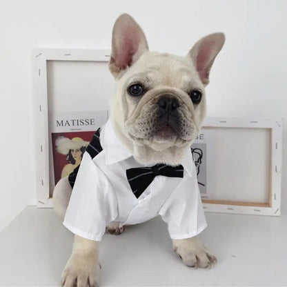 Tuxedog Suit – Luxury Formal Outfit for Dogs