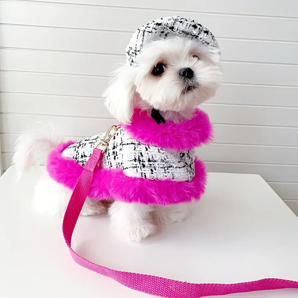 Ultra Violet Harness Set | Dog Harness Leash and Hat Set