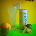 Fancy Sparkling Water – Lemon Lime | Zero Sugar Citrus Sparkling Water