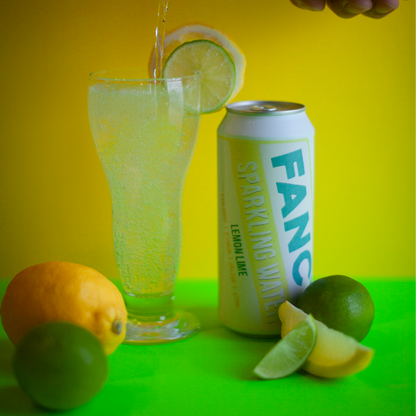 Fancy Sparkling Water – Mixed Case | Zero Sugar Sparkling Water